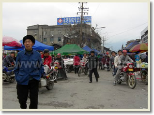 Zhangjiajie Trip